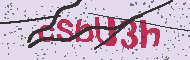 Captcha認証コード