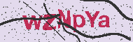 Captcha認証コード
